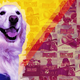 The <i>Air Bud </i>movies are the laziest of lazy kids’ flicks, but at least the dog is cute